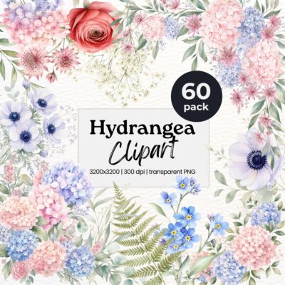 Hydrangea clipart